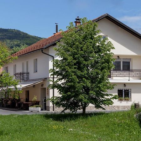Guesthouse & Apartments Pri Stani Zerovnica Bagian luar foto