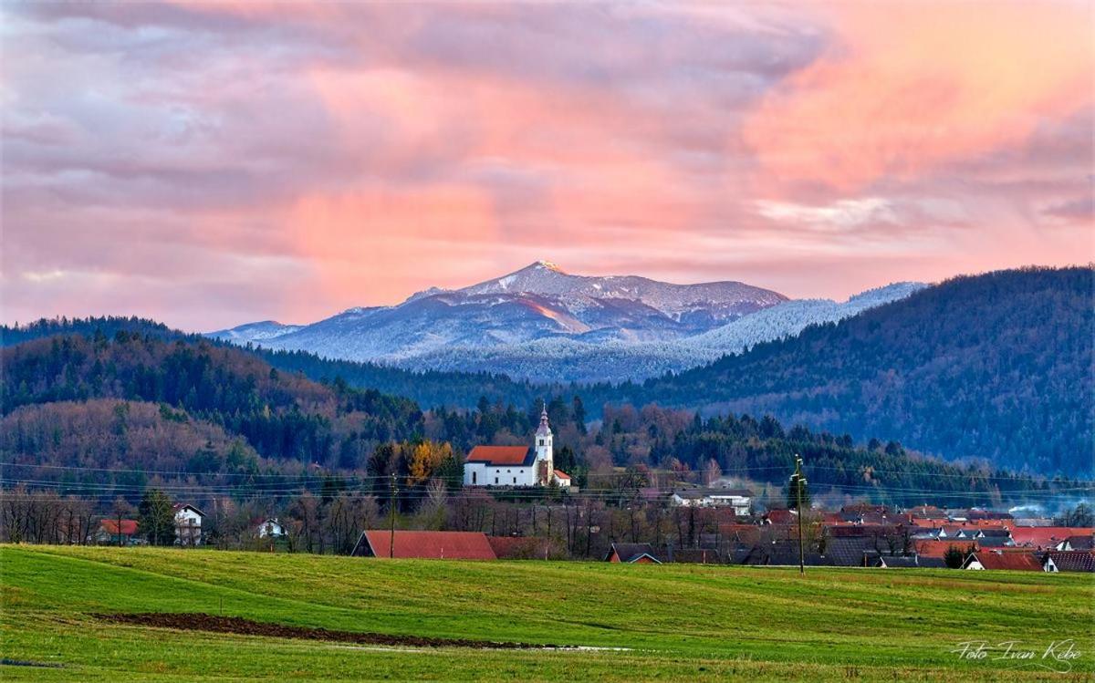 Guesthouse & Apartments Pri Stani Zerovnica Bagian luar foto